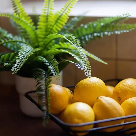 Family Bogatynska Bemowo By Renters *